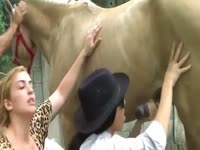 Two zoophilia loves shares a horse cock